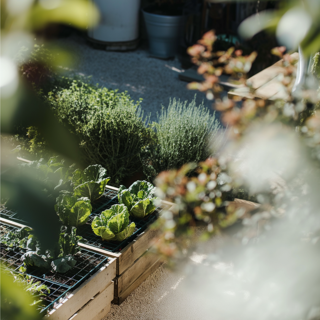 Edible Garden Design for Homes & Condo Units
