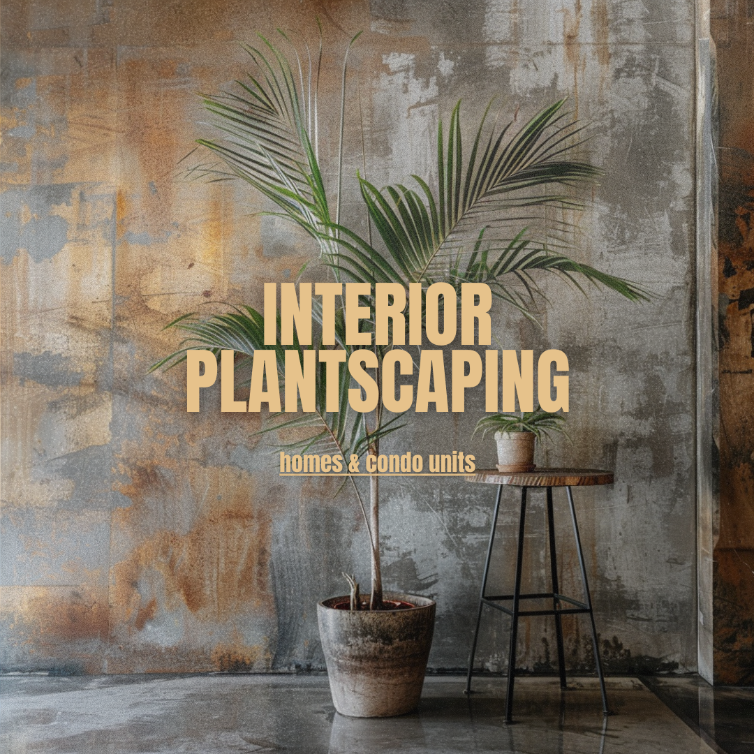 Interior Planstcaping for Homes & Condo Units