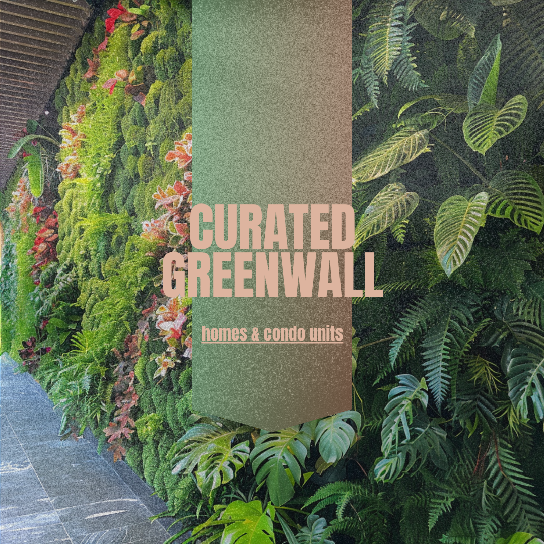 Curated Greenwall for Homes & Condo Units