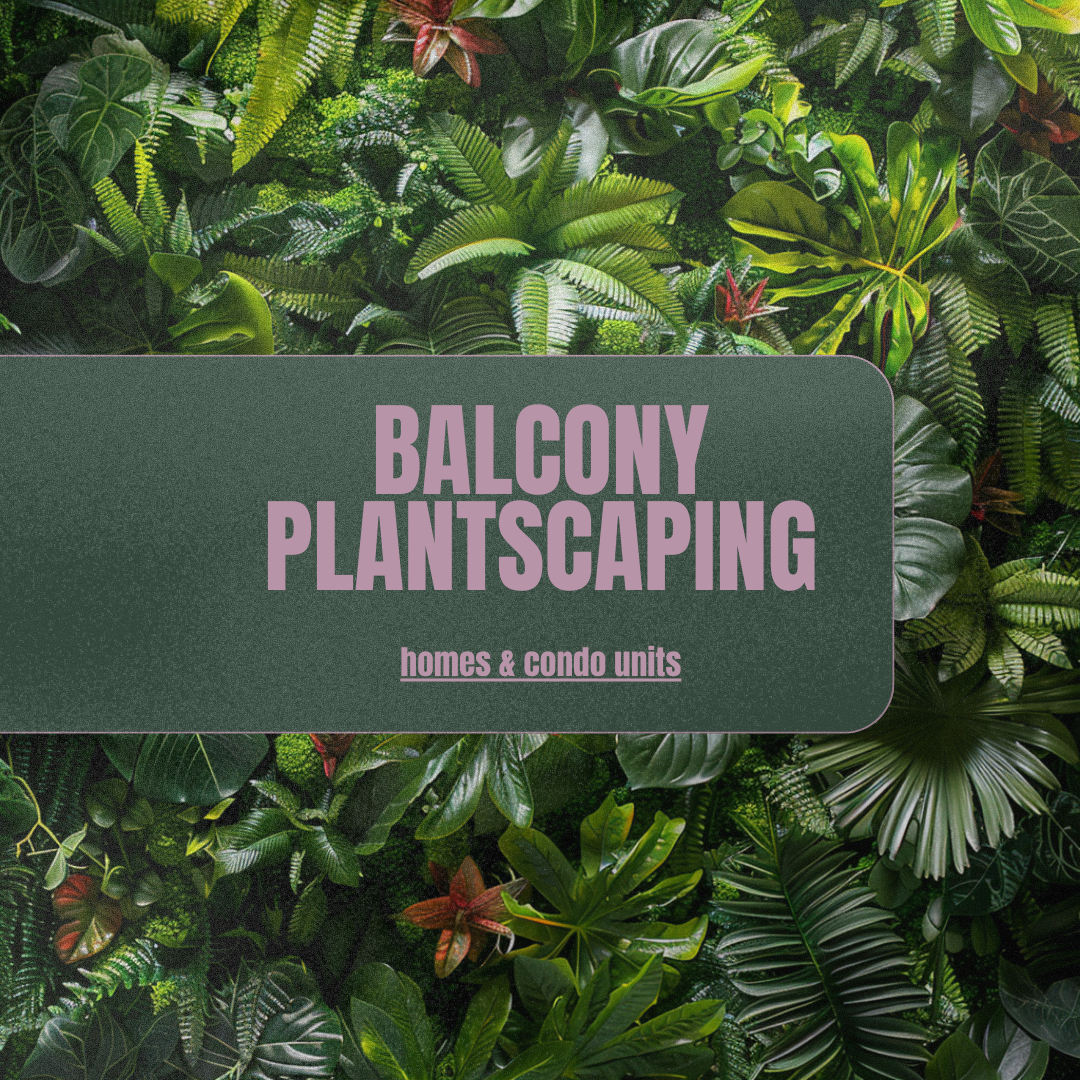 Balcony Planstcaping for Homes & Condo Units