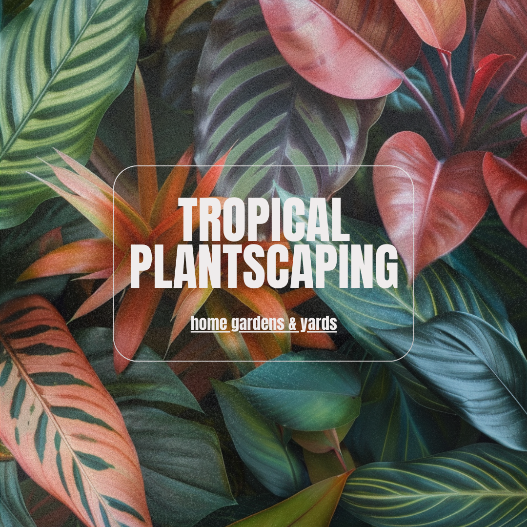 Tropical Plantscaping for Home Gardens & Yards